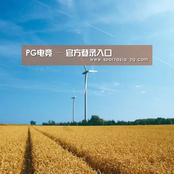 风能