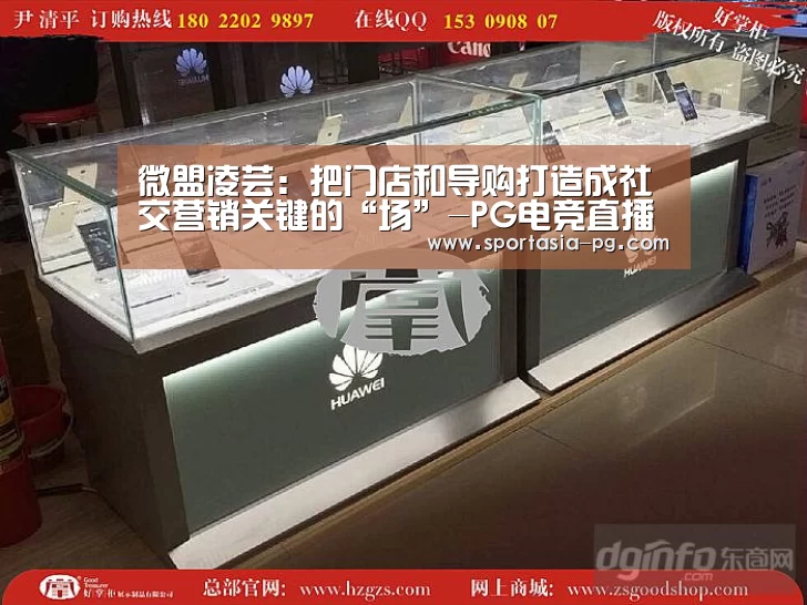 微盟凌芸:把门店和导购打造成社交营销关键的“场”-PG电竞直播(图3) PG官网
