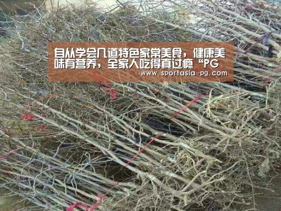 自从学会几道特色家常美食,健康美味有营养,全家人吃得真过瘾“PG电竞直播”(图1) PG地址