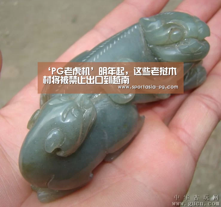 ‘PG老虎机’明年起,这些老挝木材将被禁止出口到越南(图3) PG地址