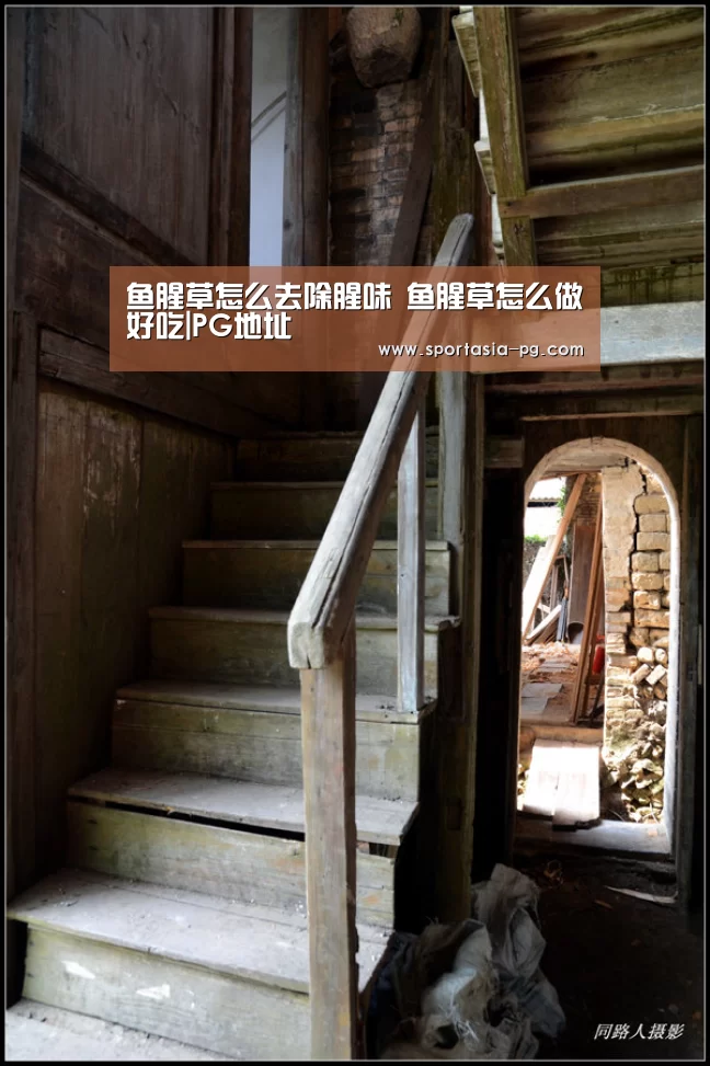 鱼腥草怎么去除腥味 鱼腥草怎么做好吃|PG地址(图4) PG老虎机