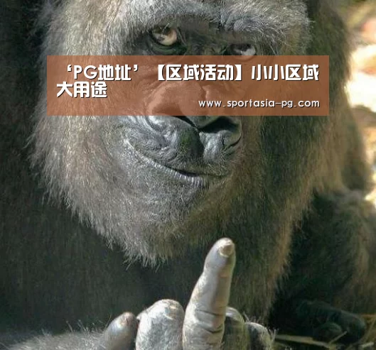 ‘PG地址’【区域活动】小小区域大用途(图1) PG官网