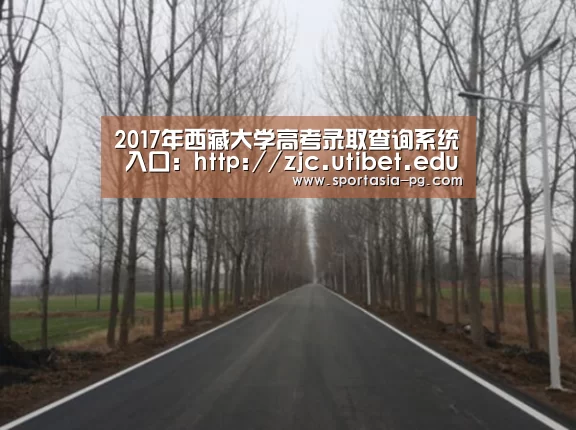 2017年西藏大学高考录取查询系统 入口:http://zjc.utibet.edu.cn/content/detail_PG老虎机(图2) PG地址
