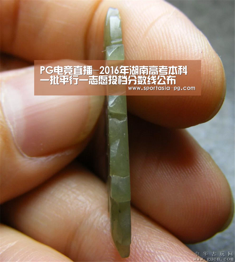 PG电竞直播-2016年湖南高考本科一批平行一志愿投档分数线公布(图2) PG官网