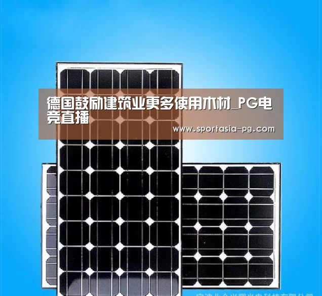 德国鼓励建筑业更多使用木材_PG电竞直播(图2) PG老虎机