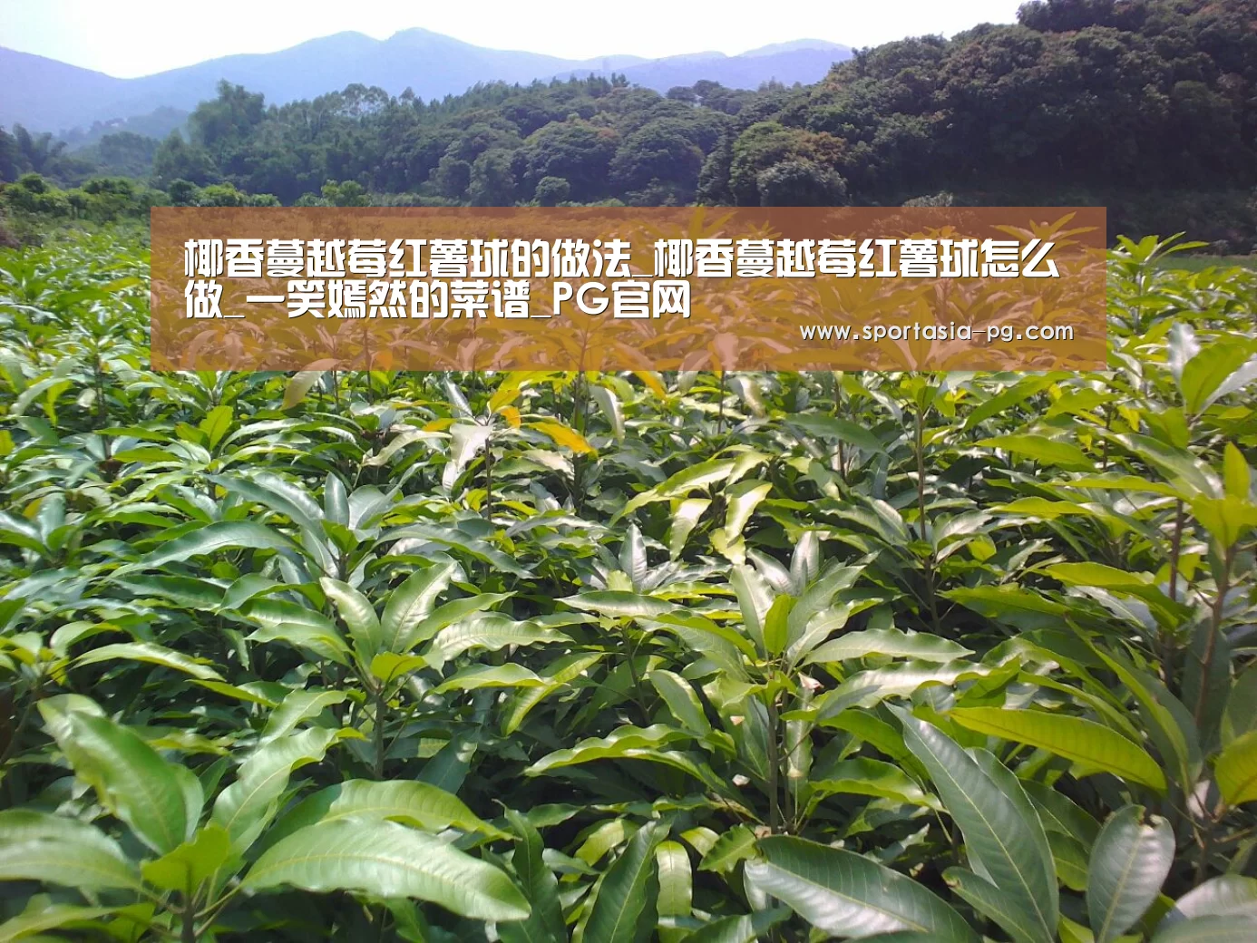 椰香蔓越莓红薯球的做法_椰香蔓越莓红薯球怎么做_一笑嫣然的菜谱_PG官网(图2) PG地址