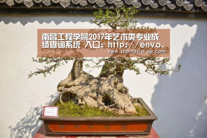 南昌工程学院2017年艺术类专业成绩查询系统 入口:http://envo.nit.edu.cn/yscx/arts_‘PG官网’(图3) PG地址